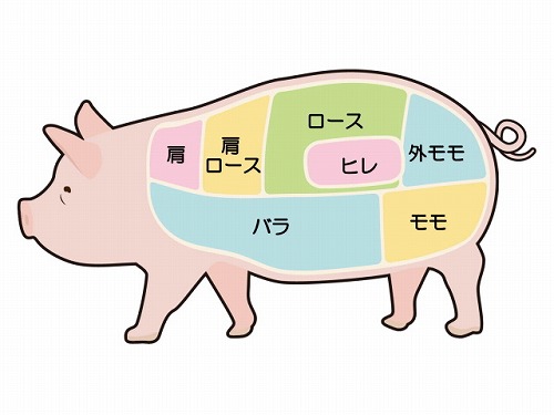 豚肉の部位